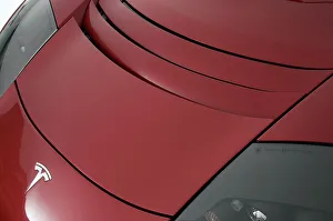 Alternative Prints: 2010 Tesla Roadster