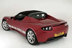 Alternative Prints: 2010 Tesla Roadster