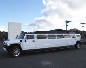 2011 Prints: 2011 Hummer stretched limousine. Creator: Unknown