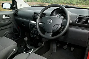 Citycar Prints: 2011 Volkswagen Fox Urban