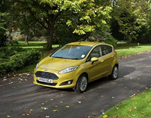 2013 Prints: 2013 Ford Fiesta Econetic