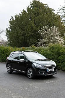 Peugeot Prints: 2014 Peugeot 2008 Hdi Feline