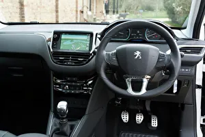 Peugeot Prints: 2014 Peugeot 208 Hdi