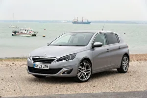 2014 Prints: 2014 Peugeot 308 THP 156 Feline