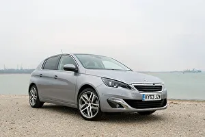 2014 Prints: 2014 Peugeot 308 THP 156 Feline