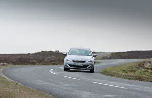 Empty Prints: 2014 Peugeot 308 THP 156 Feline