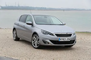 2014 Prints: 2014 Peugeot 308 THP 156 Feline