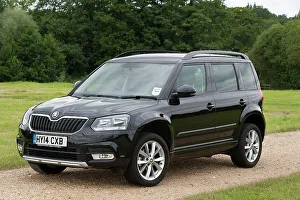 Skoda Prints: 2014 Skoda Yeti SE