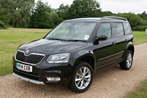 Skoda Prints: 2014 Skoda Yeti SE