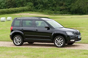Skoda Prints: 2014 Skoda Yeti SE