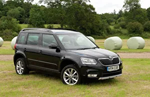 Skoda Prints: 2014 Skoda Yeti SE