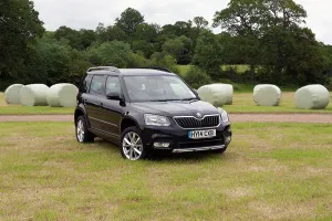 Skoda Prints: 2014 Skoda Yeti SE