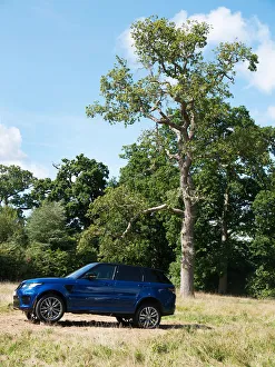2017 Prints: 2017 Range Rover Sport SVR. Creator: Unknown