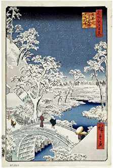 Images Dated 9th February 2011: 2585611
