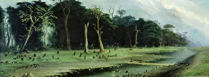 2683748