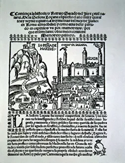 2684253