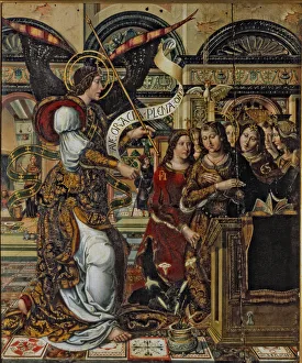 2686606