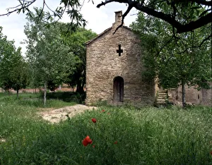 Images Dated 17th July 2012: 2687162