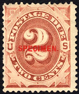 Postage Prints: 2c Postage Due specimen overprint single, 1884. Creator: Unknown