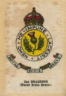 Dragoon Guard Gallery: 2nd Dragoons (Royal Scots Greys), c1910