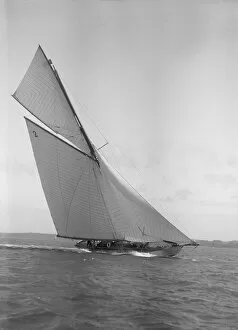 The 40-rater cutter Carina heeling in good wind, 1911. Creator: Kirk & Sons of Cowes