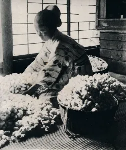 Silkworm Prints: 5000 silkworms eat 125 lbs of mulberry for 8 skeins of silk