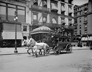 Trotting Prints: A 5th Ave. (Fifth Avenue) stage, New York, N.Y. between 1900 and 1910. Creator: Unknown