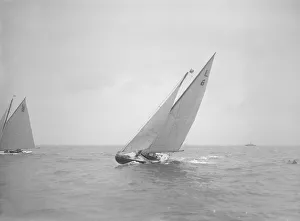 Gunter Rig Prints: The 6 Metre Class The Whim sailing close-hauled, 1911. Creator: Kirk & Sons of Cowes