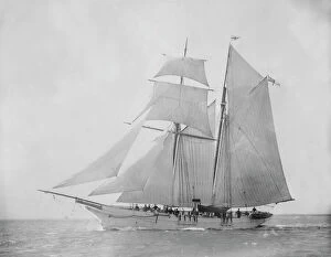 Edgar Wp Kirk Collection: The 76 ton schooner Lisette under sail. Creator: Kirk & Sons of Cowes