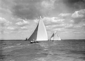 8 Metre Collection: The 8 Metre class Verbena. Termagent and Windflower race downwind, 1911