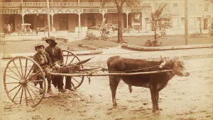 [A boy and a young man sitting on a cow-driven cart in muddy street], c1890-c1899. Creator: Unknown
