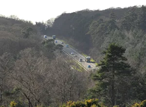 Motor Prints: The A31 Dual Carriageway through New Forest