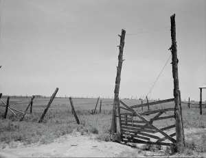 Climate Prints: Abandoned land, exhausted soil, Carter County, Oklahoma, 1937. Creator: Dorothea Lange