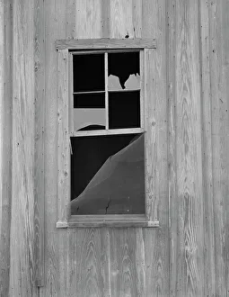 Deserted Prints: Abandoned shack of a tenant farmer near Roscoe, Texas, 1937. Creator: Dorothea Lange