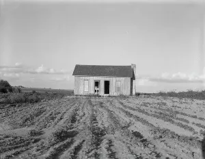 Furrows Prints: Abandoned tenant house, Childress County, Texas, 1937. Creator: Dorothea Lange