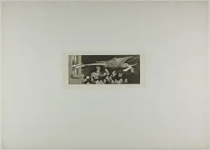 Thief Prints: Abduction, plate nine from A Glove, 1881. Creator: Max Klinger