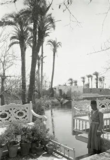 Abdul Baha garden, Acre, 1925. Creator: Frances Benjamin Johnston