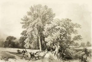 Jd Harding Prints: Abele and Oak, from The Park and the Forest, 1841. Creator: James Duffield Harding