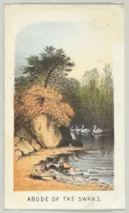 Swans Prints: Abode of the Swans, from the series, Views in Central Park, New York, Part 2, 1864