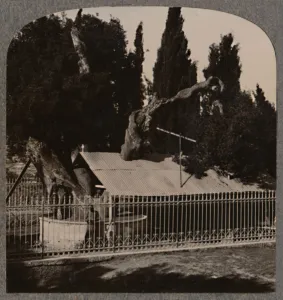 Realistic Travels Prints: Abrahams Oak near Hebron, c1900