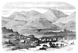 Mules Prints: The Abyssinian Expedition: General Sir Robert Napier's camp at Adigerat
