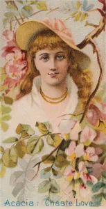 Duke W Sons Co Prints: Acacia: Chaste Love, from the series Floral Beauties and Language of Flowers (N75