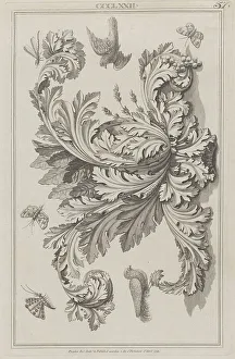 Leaf Design Prints: Acanthus Leaves, Birds and Insects, no
