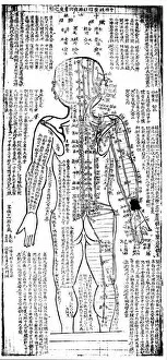 Alternative Medicine Gallery: Acupuncture chart for the rear of the body, Japanese, 19th century