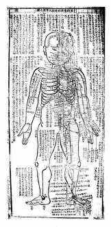 Alternative Medicine Gallery: Acupuncture chart for the front of the body, Japanese, 19th century