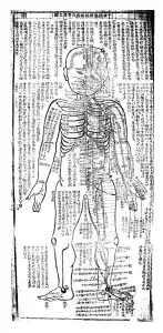 Alternative Medicine Prints: Acupuncture chart for the front of the body, Japanese, 19th century