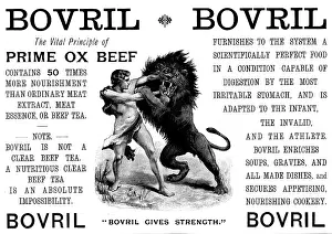 Beef Prints: Advertisement for Bovril, 1895. Creator: Unknown