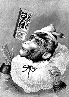 Monkies Prints: Advertisement for Brooke's Monkey Brand Soap