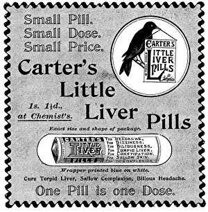 Crow Prints: Advertisement for Carter's Little Liver Pills