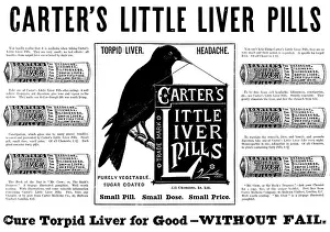 Crow Prints: Advertisement for Carter's Little Liver Pills
